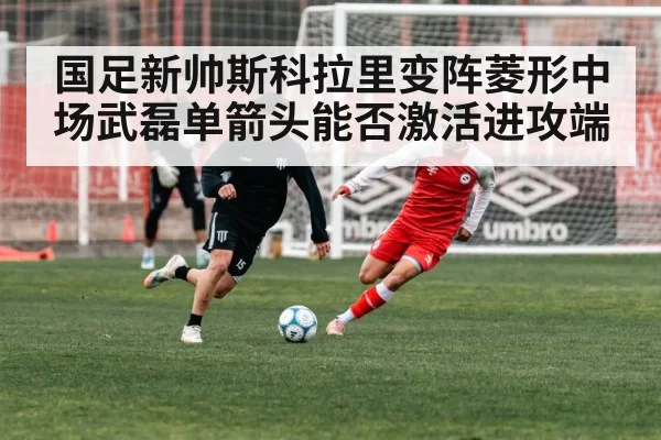 国足新帅斯科拉里变阵菱形中场武磊单箭头能否激活进攻端
